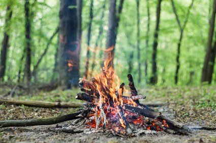 Emploi du feu